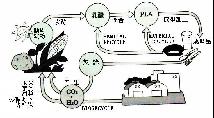 可生物降解環(huán)保塑料可以回收再利用嗎？(圖4)