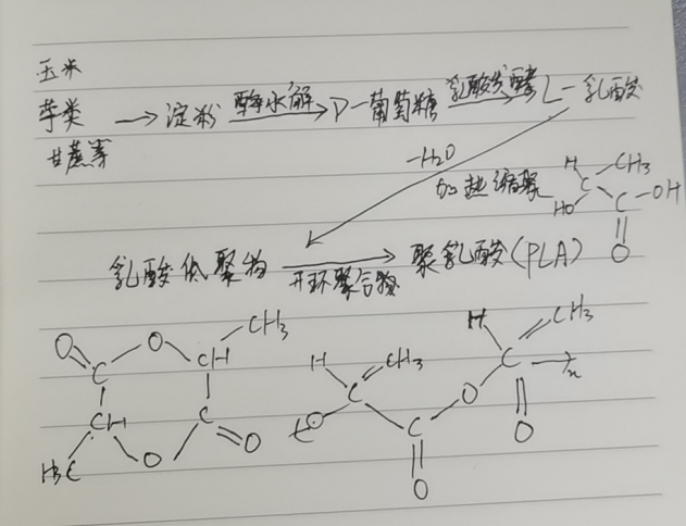 生物降解袋中的PLA是如何制得的？(圖2)